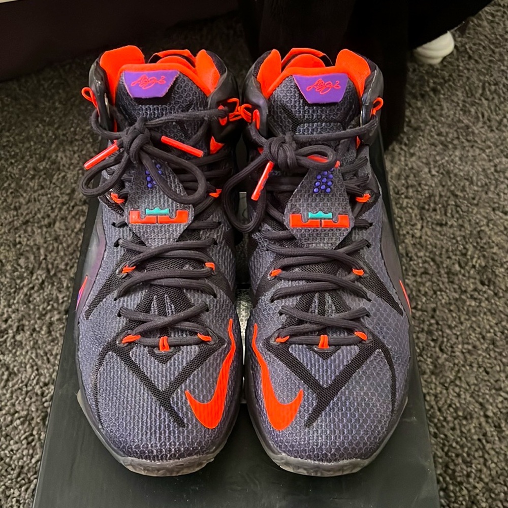 Lebron Twelves.